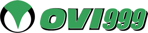 bdovi999 Logo